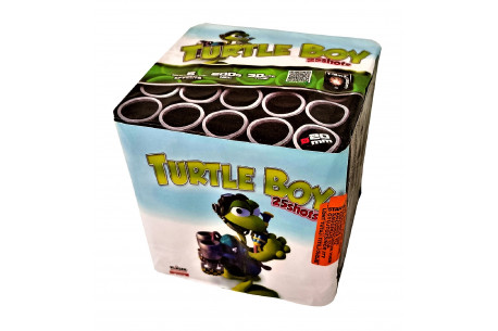 TURTLE BOY