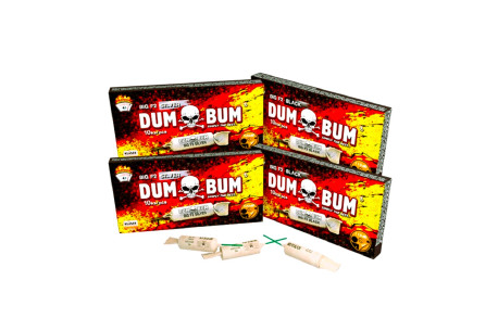 DUMBUM BIG F2 SILVER 2