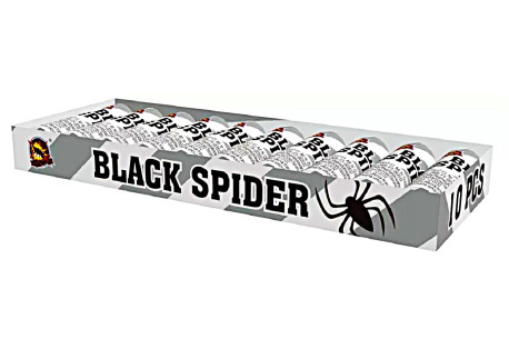 Black Spider 10