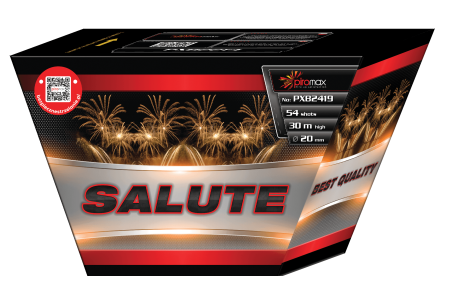 SALUTE PXB2419
