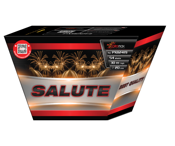 SALUTE PXB2419