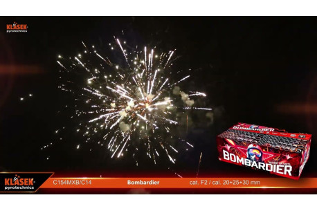 BOMBARDIER C154MXB/C 2