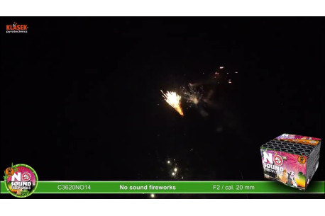 No Sound Fireworks 2