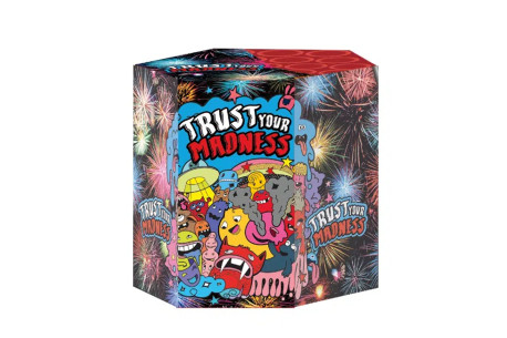 TRUST YOUR MADNESS